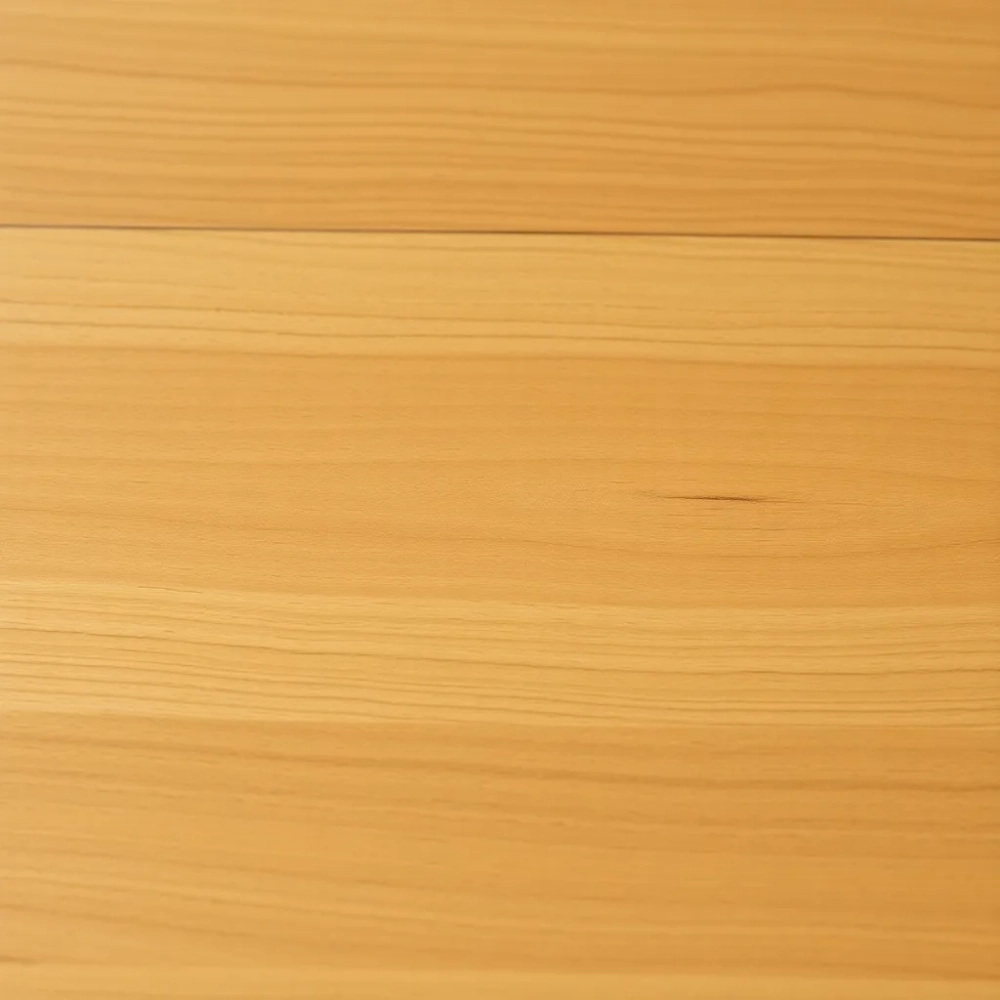 AC5 panele co to znaczy