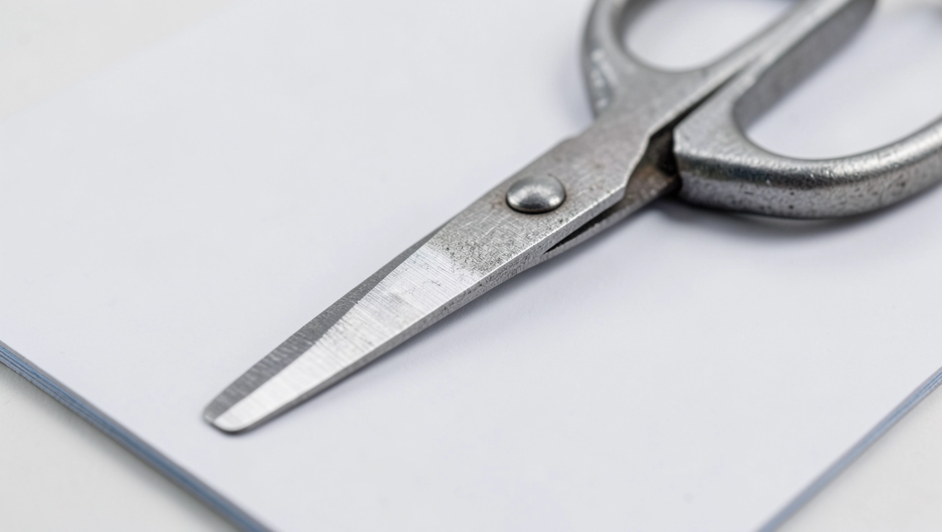 Nożyce i gilotyna do winylu