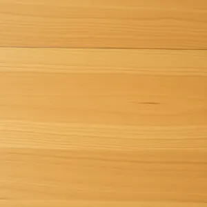 AC5 panele co to znaczy