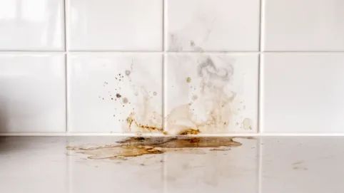 białe płytki nad blatem w kuchni