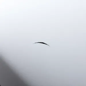 BOLL podkład wypełniający jak stosować