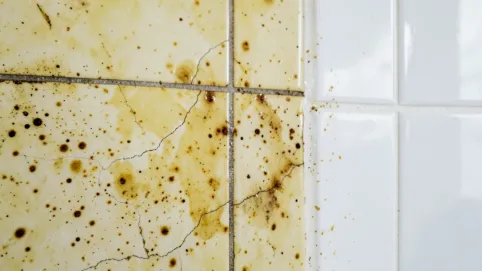 czy można pomalować płytki w kuchni