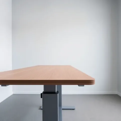 flexispot seiffen laminated standing desk