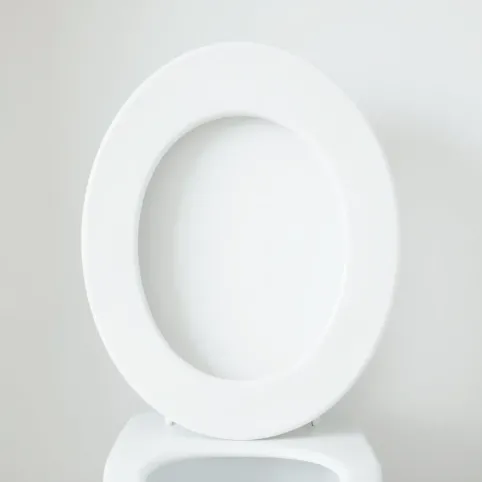 Jak wybielić deskę klozetową