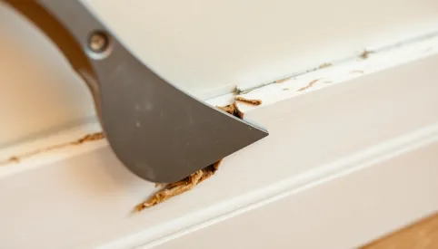 Jak wymienic listwy przypodłogowe