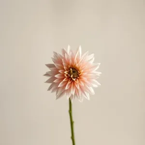 Jak zrobić schody z paneli podłogowych