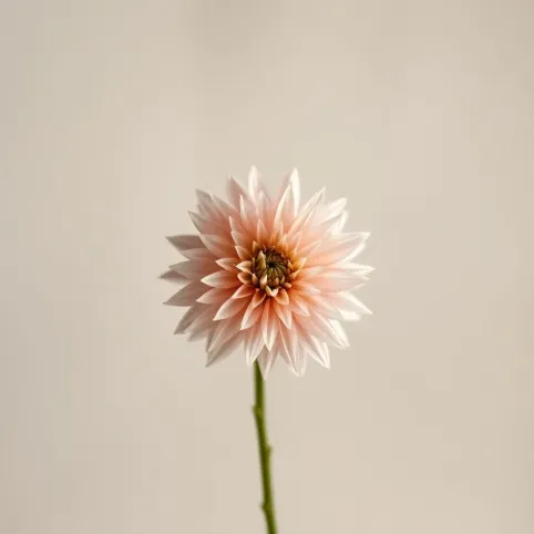 Jak zrobić schody z paneli podłogowych