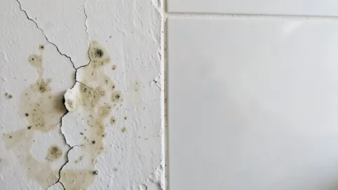 Jaki tynk do łazienki pod płytki