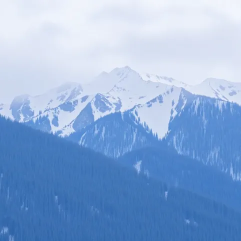 Mozaika drewniana podłogowa cena