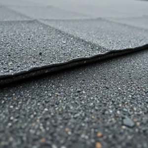 Papa podkładowa cena za m2