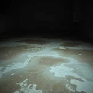 Wilgotna posadzka w piwnicy