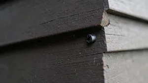 Wkręty do deski elewacyjnej czarne