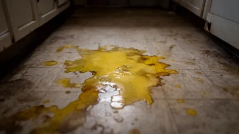 żółte plamy na linoleum